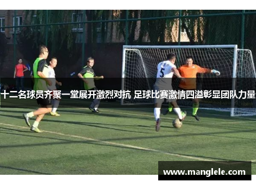 十二名球员齐聚一堂展开激烈对抗 足球比赛激情四溢彰显团队力量